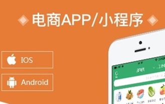 电商app/小程序定制开发